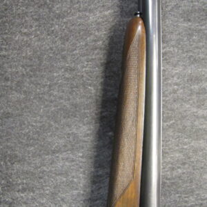 Renato Gamba Principessa - 28ga - Image 5