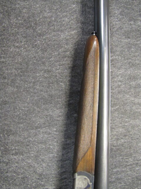 IMG_9739 Renato Gamba Principessa - 28ga