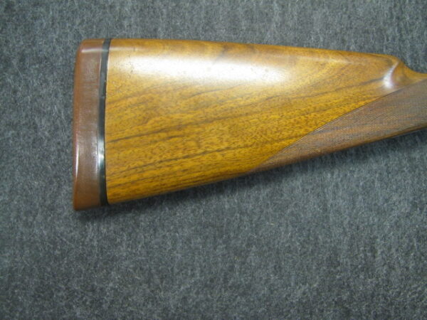 IMG_9742 Renato Gamba Principessa - 28ga