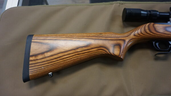 DSC08733 Ruger 10-22