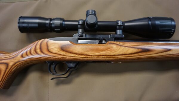 DSC08734 Ruger 10-22