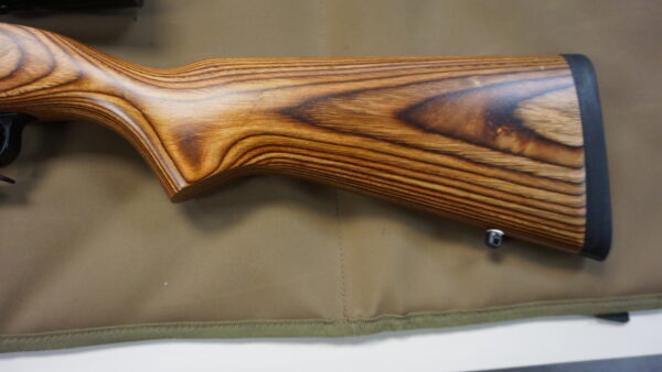 DSC08736 Ruger 10-22