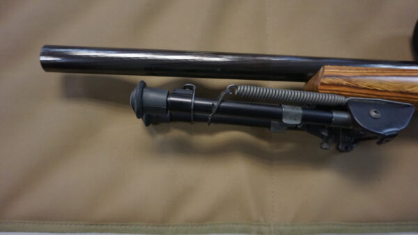 DSC08738 Ruger 10-22