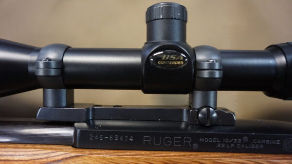DSC08739 Ruger 10-22