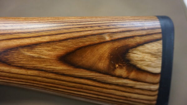 DSC08741 Ruger 10-22