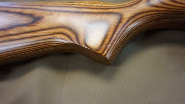 DSC08742 Ruger 10-22