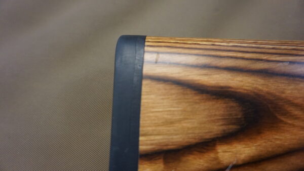 DSC08744 Ruger 10-22