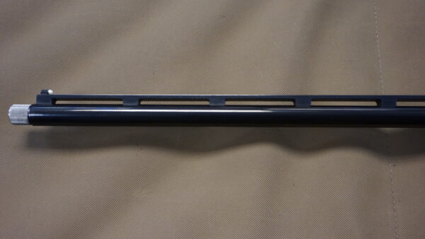 DSC08758 Remington 1100 Sporting - .410ga