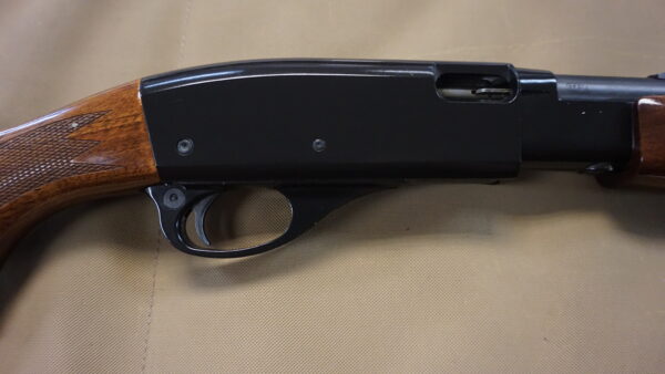 DSC08803 Remington 572 Fieldmaster