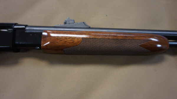 DSC08804 Remington 572 Fieldmaster