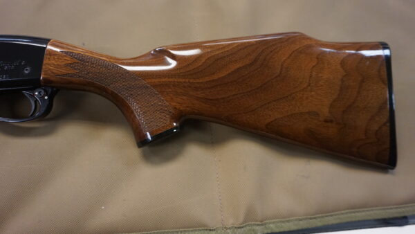 DSC08806 Remington 572 Fieldmaster