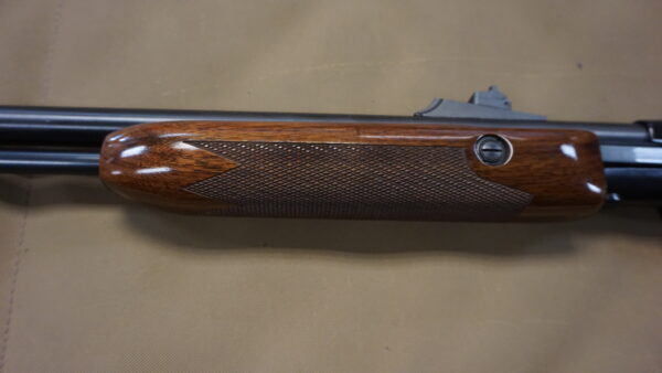 DSC08808 Remington 572 Fieldmaster