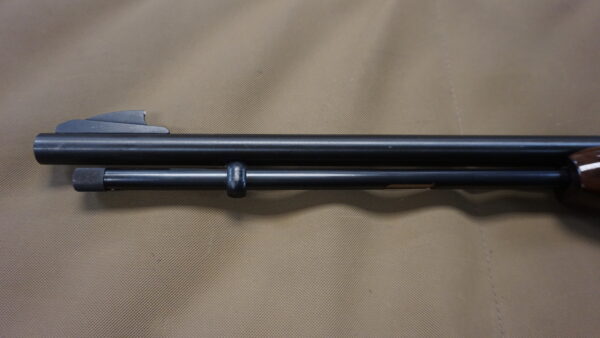 DSC08809 Remington 572 Fieldmaster