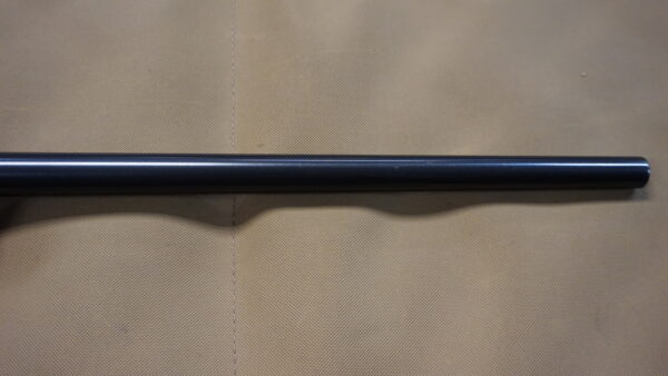 DSC08842 Ruger No. 1