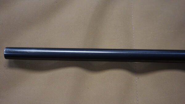 DSC08846 Ruger No. 1