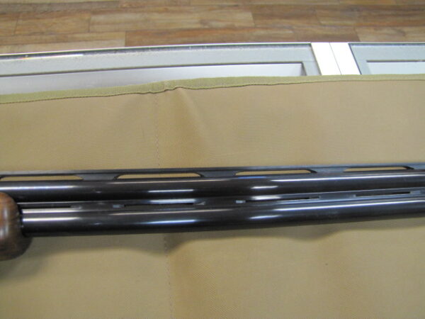 Bettinsoli Omega Steel