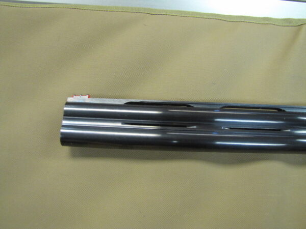 Bettinsoli Omega Steel