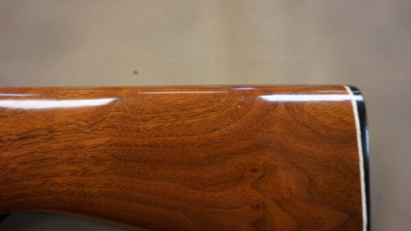 Remington 572 Fieldmaster - .22 LR