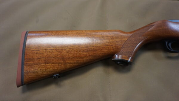 Ruger 10/22 - .22 LR