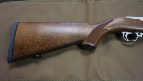 Ruger 10/22 Stainless - .22 LR