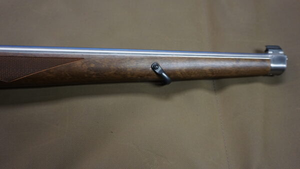 Ruger 10/22 Stainless - .22 LR