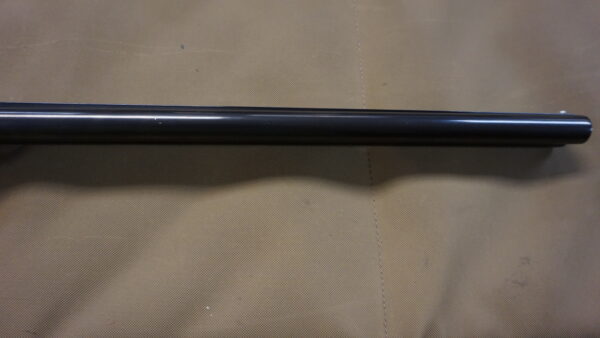 Savage Fox BSE - 20ga