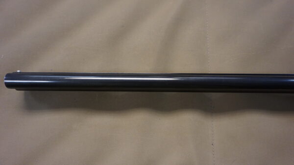 Savage Fox BSE - 20ga