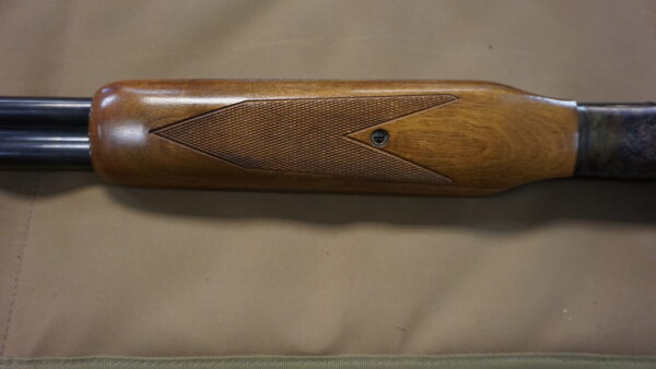 Savage Fox BSE - 20ga