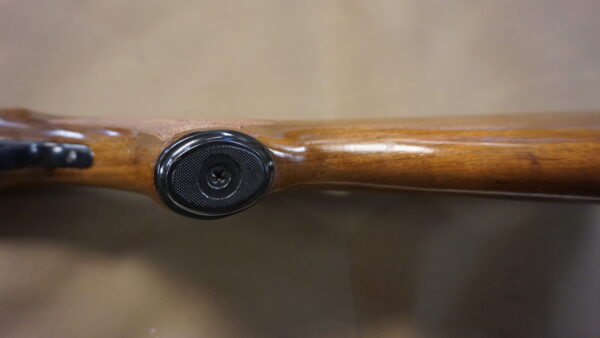 Savage Fox BSE - 20ga