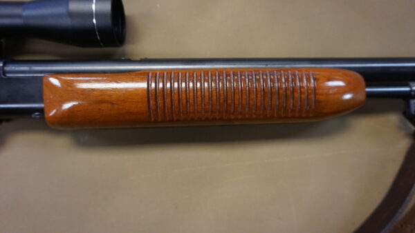 Remington 572 .22 LR Pump-Action Rifle