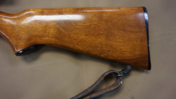 Remington 572 .22 LR Pump-Action Rifle