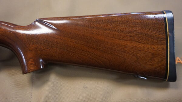 Winchester Model 70 Target