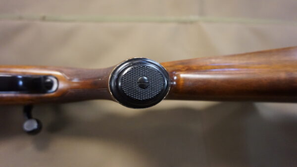 Sako L579 Forester .243