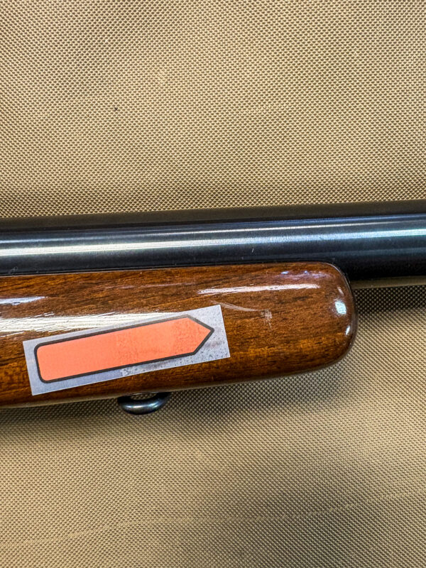 Sako Forester L579 — .22-250